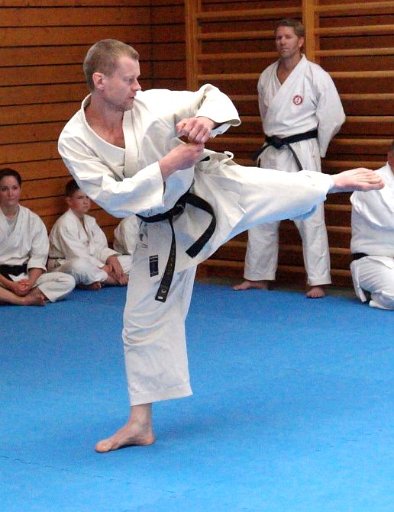 DSC03756 (Large).JPG